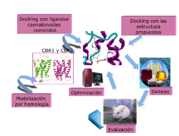 Strategy of Drug Design