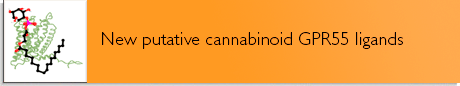 New putative cannabinoid GPR55 ligands