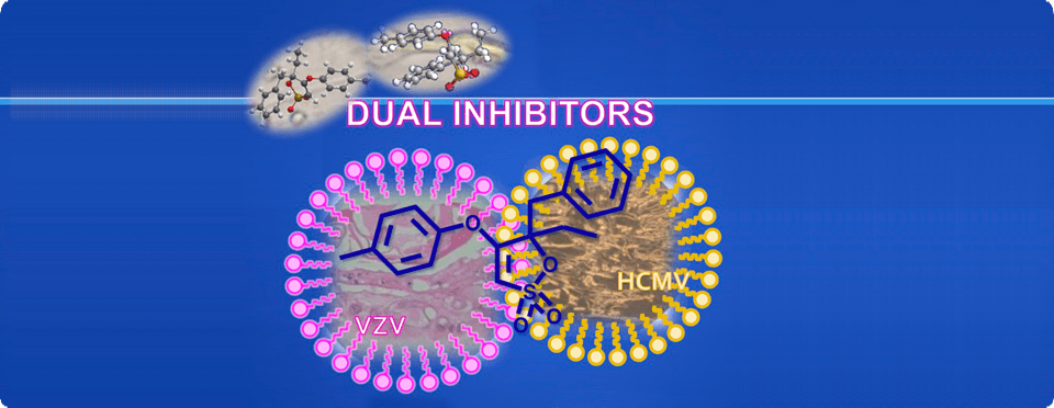 Inhibidores de la replicación de otros virus