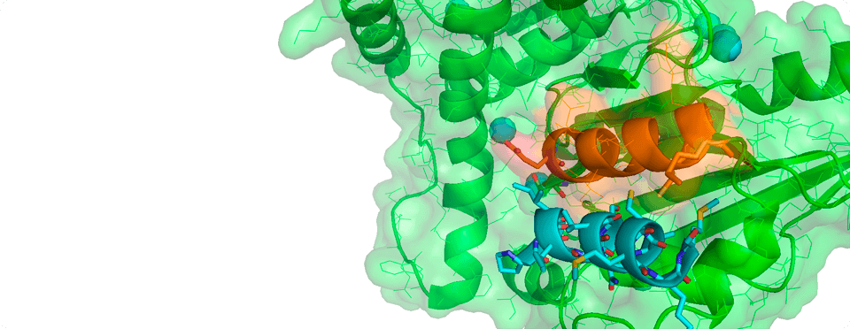 Inhibidores de la replicación de Leishmania