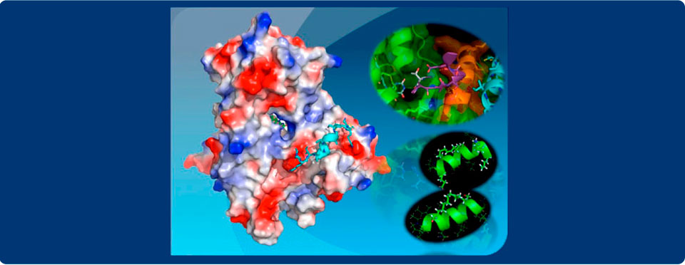 Inhibidores de la replicación de Leishmania