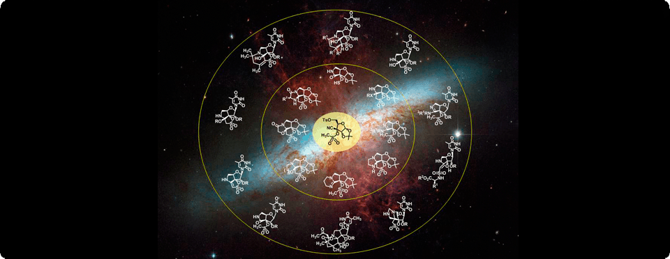 Generación de diversidad molecular a partir de carbohidratos y nucleósidos