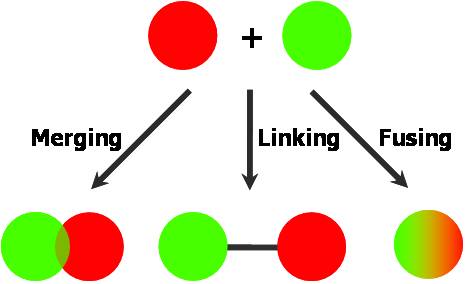 Multiple Ligands