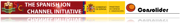 spanish ion channel initiative