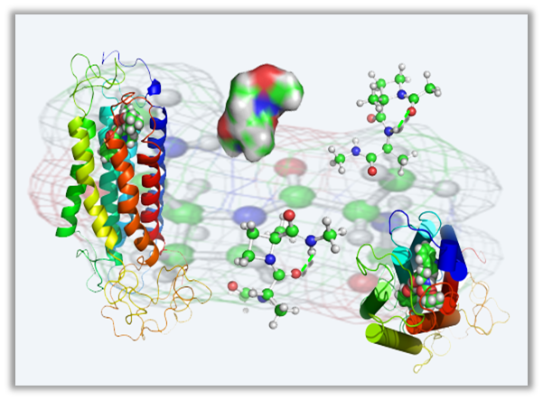 Diseño de Peptidomiméticos Asistido por Ordenador