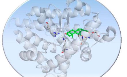 Mineralocorticoid Receptor Antagonists